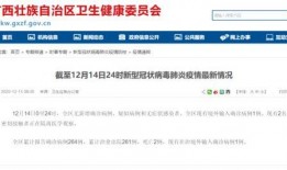 广西视频爆料网站,揭秘幕后真相与热点事件