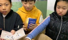 河南开封小学生爆料视频,揭秘校园生活点滴