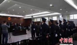 广东陆丰市爆料案件最新,案情揭秘，真相渐浮水面