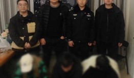 警察爆料洗钱案件视频,洗钱案件内幕曝光，追踪资金流向背后的黑幕
