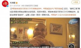 新冠爆料视频在线观看,深度解析爆料视频背后的秘密