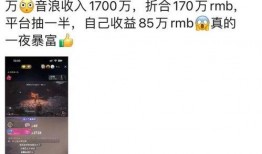 鹏哥爆料行业秘密视频播放,行业秘密视频播放背后的惊人内幕
