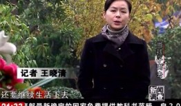 天涯爆料王磊是谁呀视频,王磊身份之谜