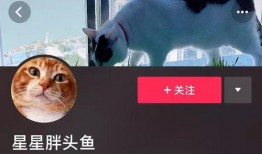 抖音狗崽爆料视频,揭秘热门视频背后的故事