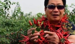 中国辣王被爆料了吗视频,揭秘辣界传奇人物被爆料真相