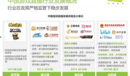 鹏哥爆料行业秘密视频播放,行业秘密视频播放背后的惊人内幕
