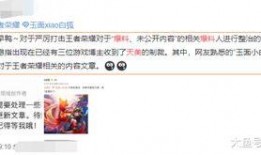 王者爆料博主被制裁视频,揭秘背后真相与影响