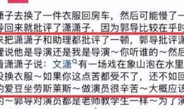 瓦工内情爆料视频大全,视频大全背后的真实故事