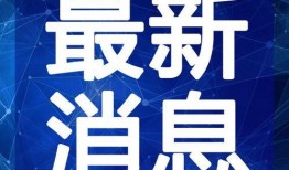 最新偷鱼爆料事件视频,最新进展及现场实况解析