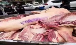 非洲猪瘟最新爆料,揭秘病毒传播与防控策略