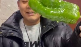 广东健身网红吃瓜,揭秘健身圈幕后故事