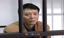 爆料法国刘哥视频播放,视频播放背后的惊人真相