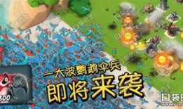 鹦鹉最新爆料,揭秘娱乐圈最新动态