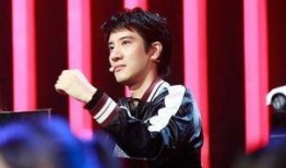 狗仔队爆料王力宏视频,狗仔队独家爆料引发热议