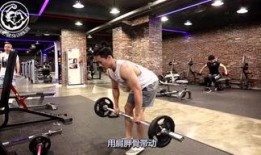 健身训练营爆料视频,独家爆料视频带你领略健身狂潮