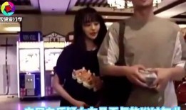 郑爽被张恒爆料视频,揭秘娱乐圈背后的真相