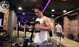健身训练营爆料视频,独家爆料视频带你领略健身狂潮