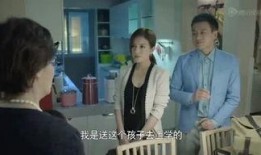 爆料法国刘哥视频播放,视频播放背后的惊人真相
