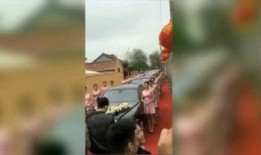 燕子最新爆料,娱乐圈最新爆料大揭秘！