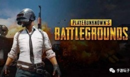 大逃杀完整版在线观看,生存之战，生死较量