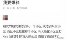 某某最新爆料,揭秘XX惊人内幕！