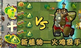 火鸡投手爆料视频,揭秘幕后真相与惊人内幕