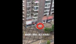 莆田8号楼爆料视频,真实事件引发网友热议