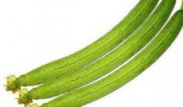 丝瓜官网最新版本爆料,揭秘最新版本亮点与功能革新