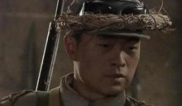 电视剧雪豹在线观看,烽火岁月里的青春传奇，热血激战再现荧屏