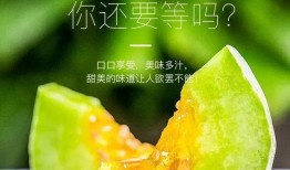 安吉网红吃瓜,揭秘娱乐圈幕后真相
