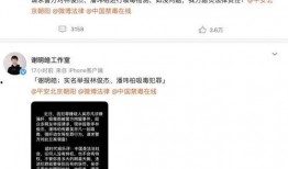 截图爆料林俊杰视频下载,下载背后的故事揭秘