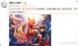 王者爆料博主被制裁视频,揭秘背后真相与影响