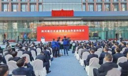 四川银行最新爆料,揭秘金融巨头背后的故事