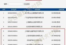今日爆料支付网