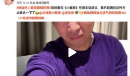杨迪爆料小黑屋视频播放,杨迪揭秘小黑屋视频播放幕后真相