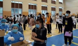 临城爆料最新消息视频