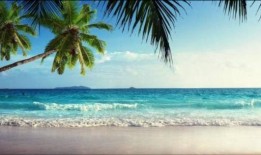 大海地形爆料视频下载,地形爆料视频深度解析