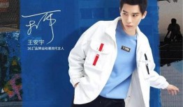 圈内人爆料王安宇,圈内人揭秘，这位明星背后的故事