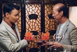 毒诫 电影 在线观看,揭示毒品背后的残酷现实，在线观看带你走进黑暗深渊