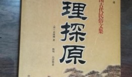 舌尖爆料探店视频大全