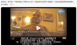 新冠爆料视频在线观看,深度解析爆料视频背后的秘密