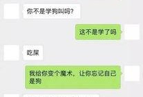 二狗爆料新丁聊天记录视频,视频内容引发热议