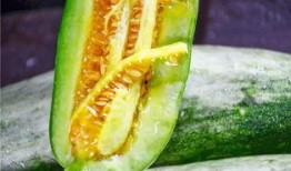 高质量网红吃瓜视频下载,高清下载攻略，尽享娱乐盛宴