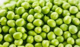 豌豆藤蔓爆料视频大全,揭秘幕后真相与精彩瞬间