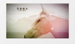 爆料视频 模板图片大全,热门素材一网打尽