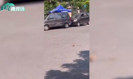 网友爆料被蛇咬视频大全,惊险瞬间！网友爆料蛇咬事件视频大盘点