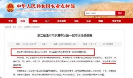 非洲猪瘟最新爆料,揭秘病毒传播与防控策略