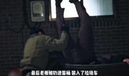 以暴制暴在线观看,在线观看揭示正义与复仇的较量