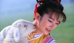 燕子最新爆料,娱乐圈最新爆料大揭秘！