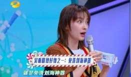 吴昕爆料维嘉视频,揭秘娱乐圈不为人知的一面